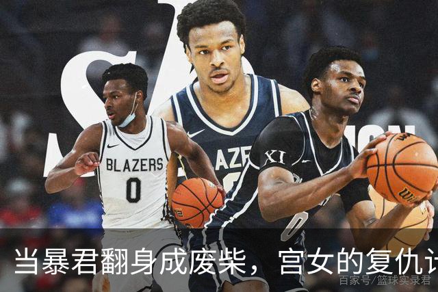 当暴君翻身成废柴，宫女的复仇计划又要开始了