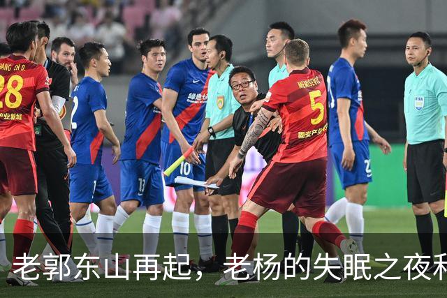 老郭东山再起，老杨的失眠之夜和心中的“仇恨种子